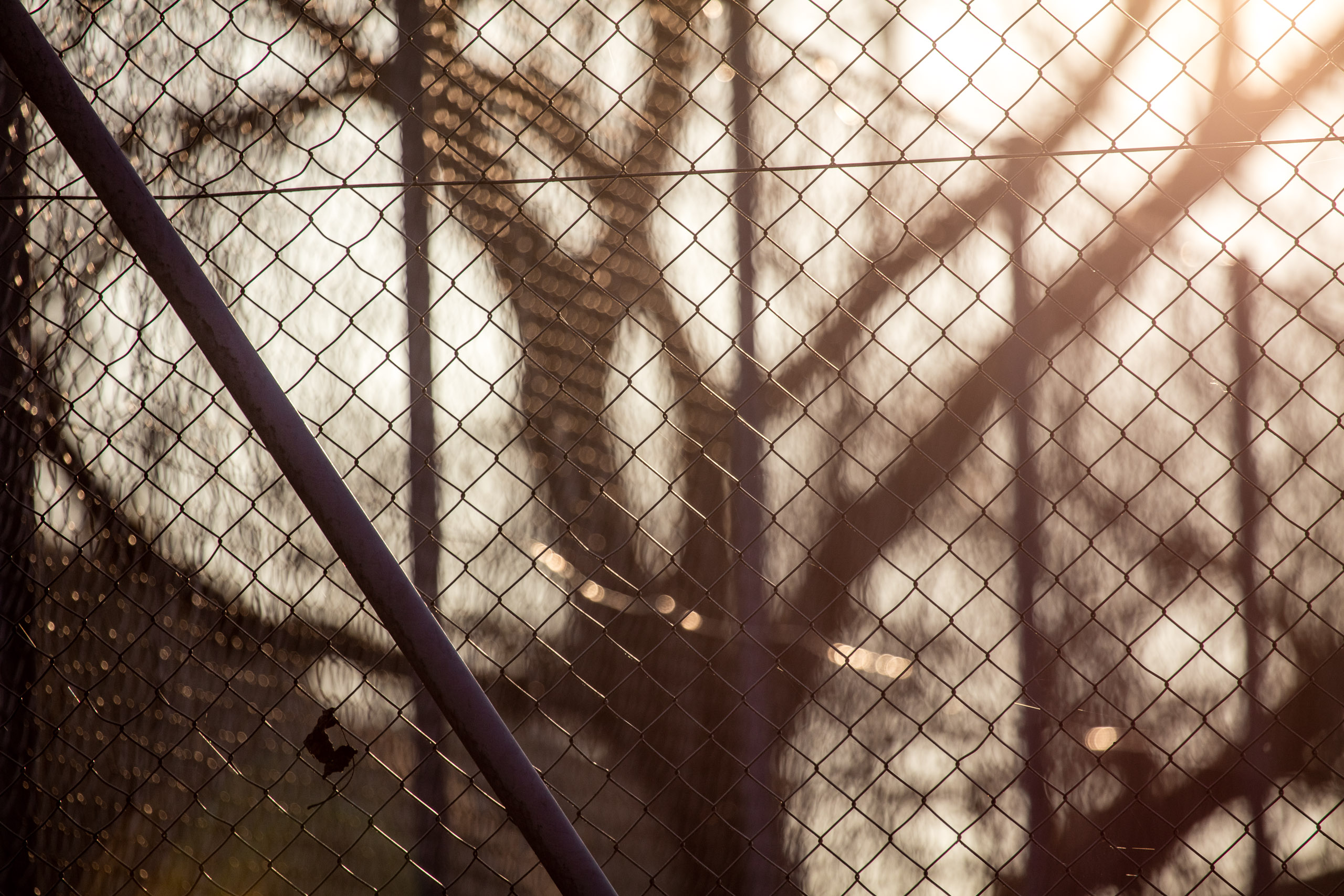 20160319174902 DP017871